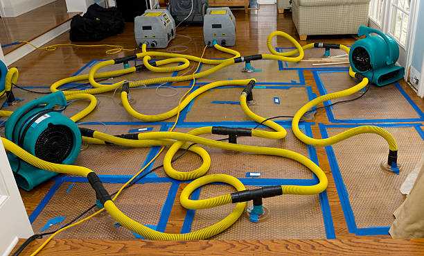 Professional Structural Drying And Dehumidification technician working in Appleton, MN